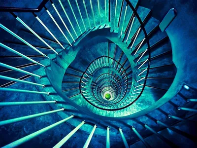 Rabbit Hole